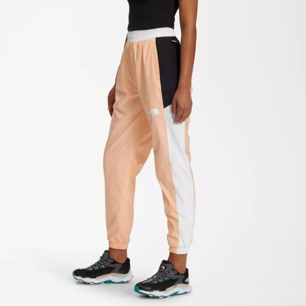 The North Face NWT Hydrenaline 2000 Windwall Jogger Pants
